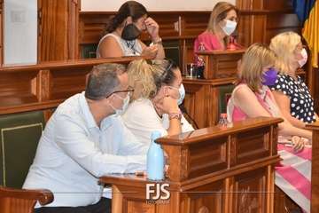 Pleno ordinario de julio de 2022/Francisco Javier Santana.